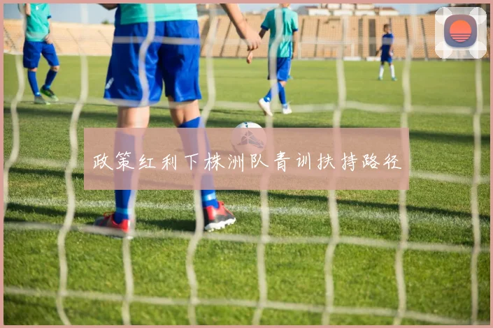 政策红利下株洲队青训扶持路径