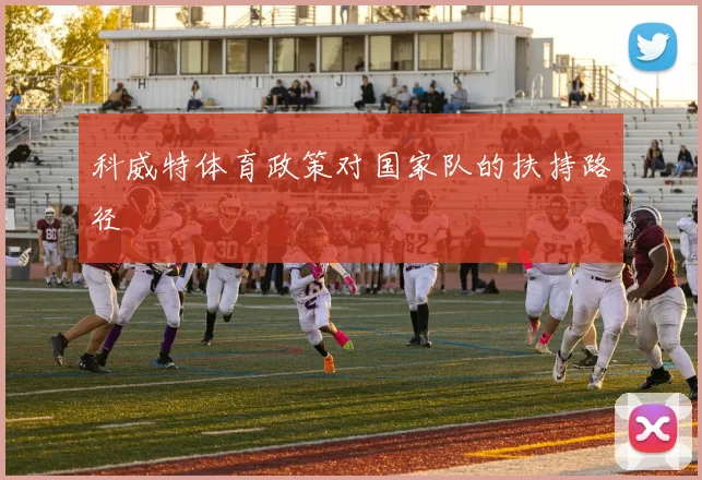 科威特体育政策对国家队的扶持路径