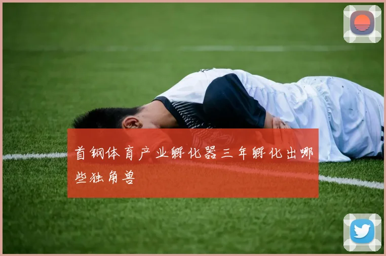 首钢体育产业孵化器三年孵化出哪些独角兽