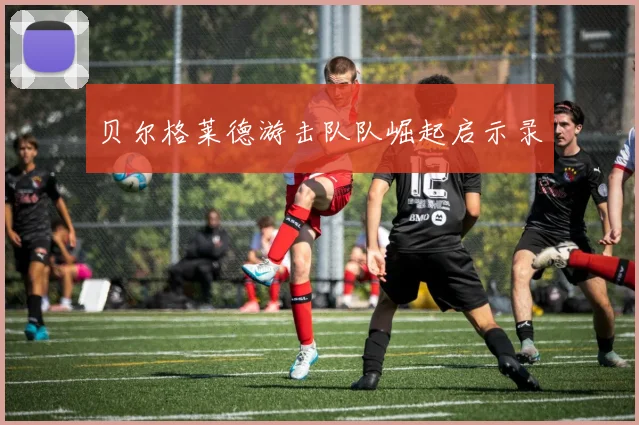 贝尔格莱德游击队队崛起启示录