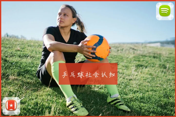 乒乓球社会认知