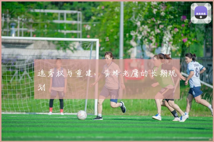 选秀权与重建，黄蜂老鹰的长期规划