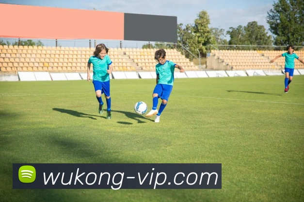 悟空官网品牌故事