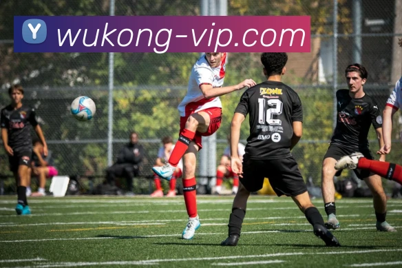 悟空官网服务体系